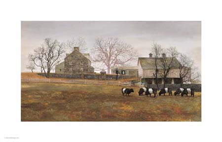 Peter_Sculthorpe _Belted_Galloway